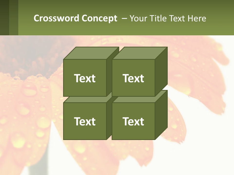 A Yellow Flower With Water Droplets On It PowerPoint Template