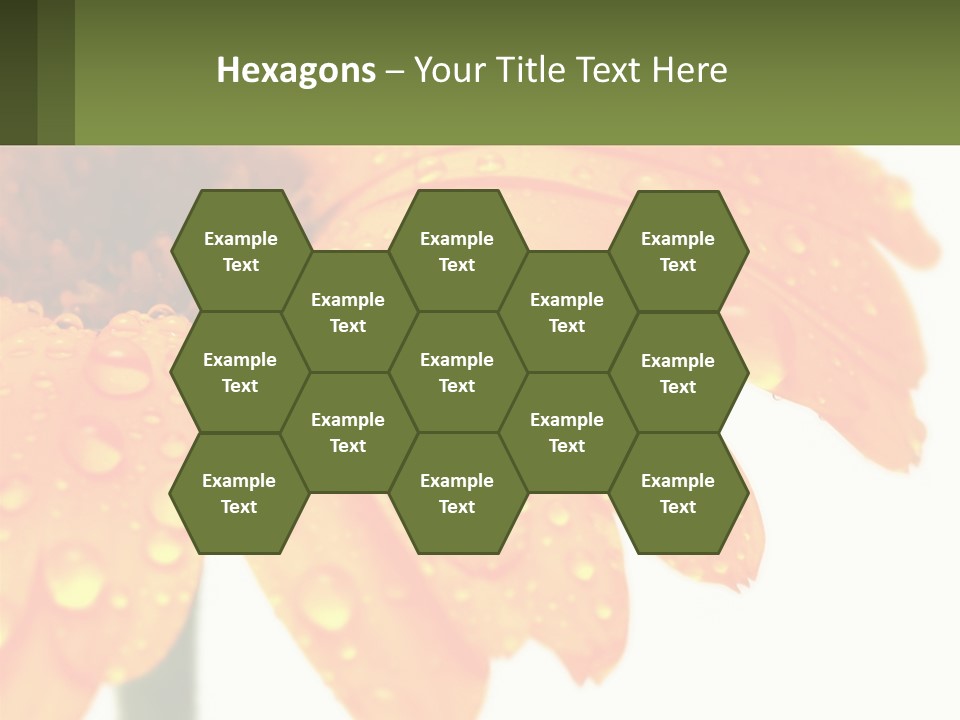 A Yellow Flower With Water Droplets On It PowerPoint Template