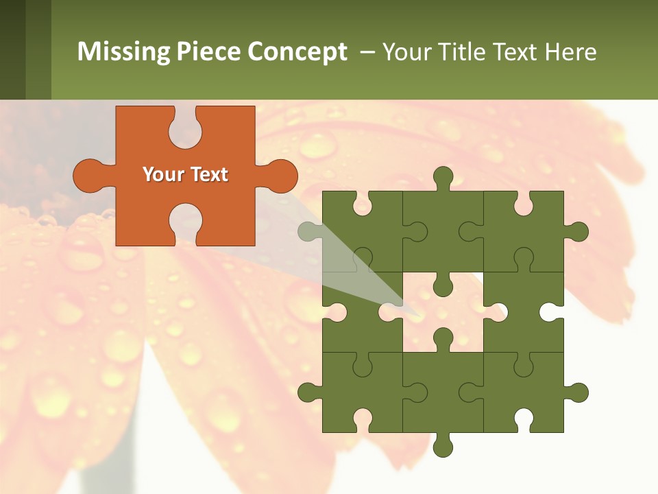 A Yellow Flower With Water Droplets On It PowerPoint Template