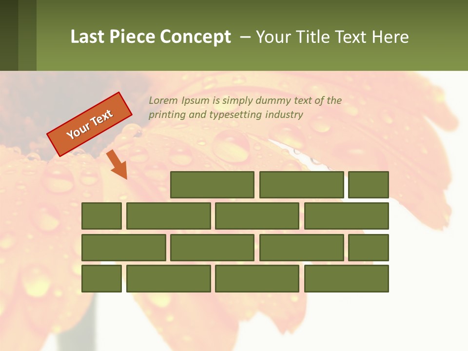 A Yellow Flower With Water Droplets On It PowerPoint Template