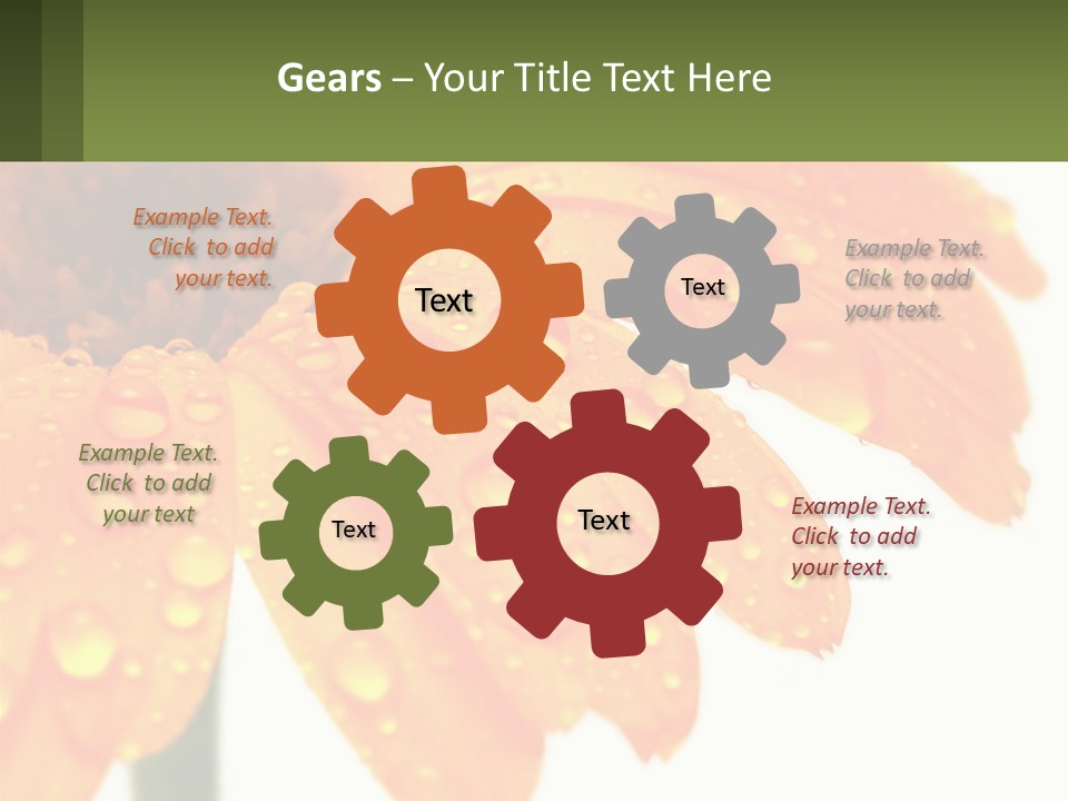 A Yellow Flower With Water Droplets On It PowerPoint Template