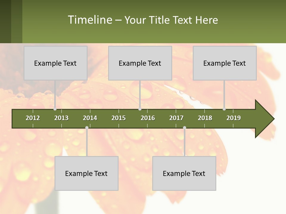 A Yellow Flower With Water Droplets On It PowerPoint Template