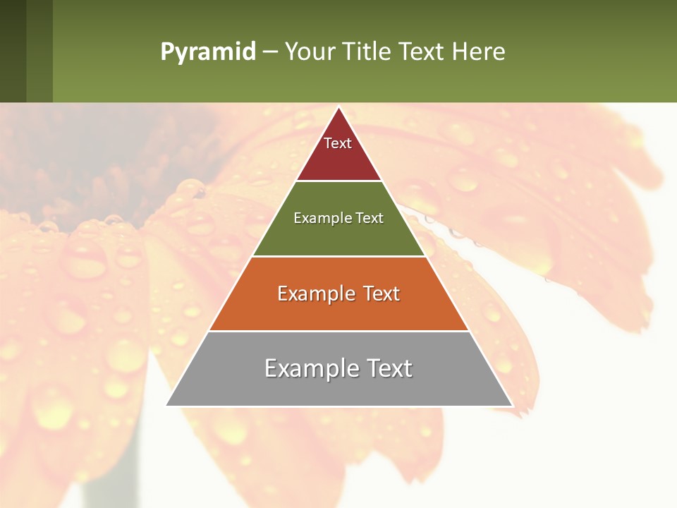 A Yellow Flower With Water Droplets On It PowerPoint Template