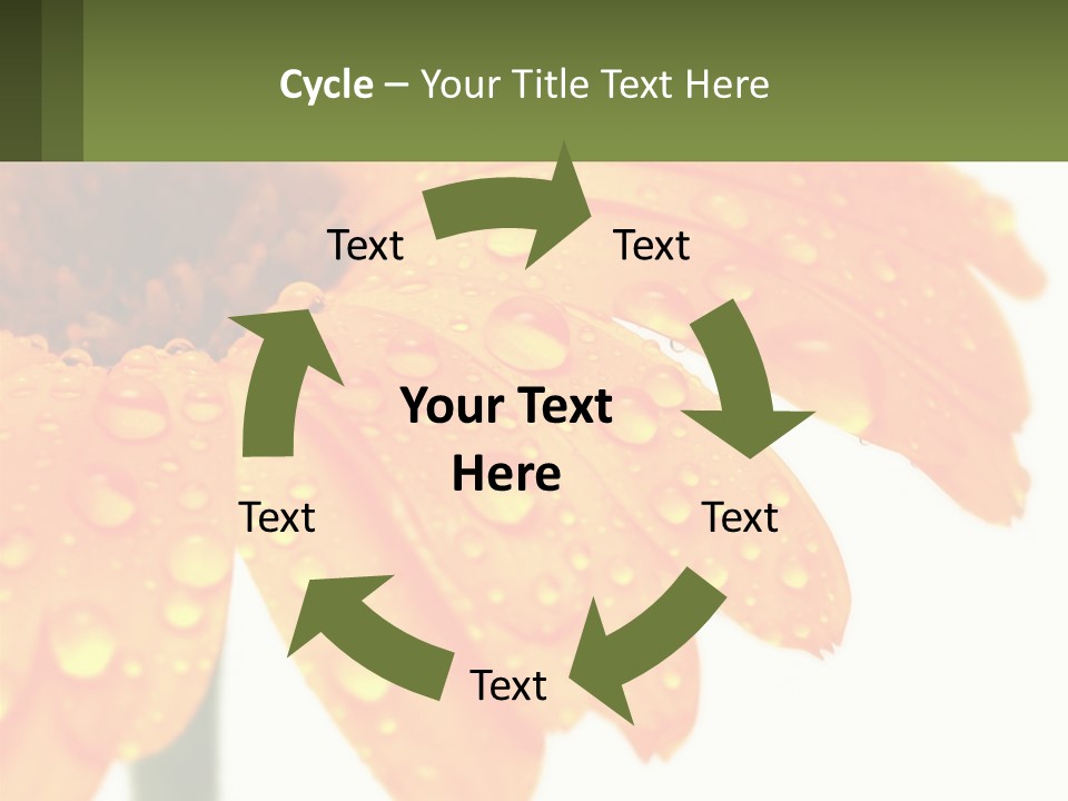 A Yellow Flower With Water Droplets On It PowerPoint Template