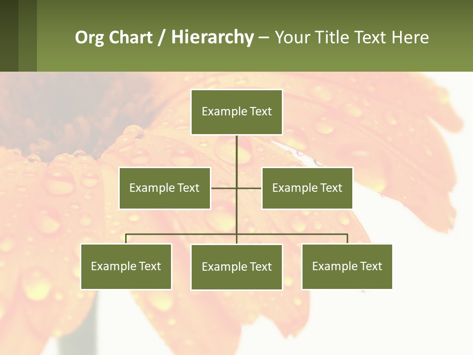 A Yellow Flower With Water Droplets On It PowerPoint Template