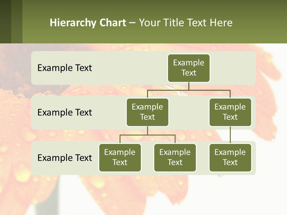 A Yellow Flower With Water Droplets On It PowerPoint Template