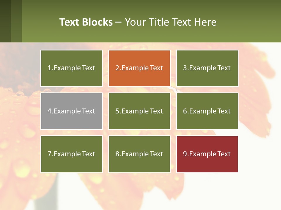 A Yellow Flower With Water Droplets On It PowerPoint Template