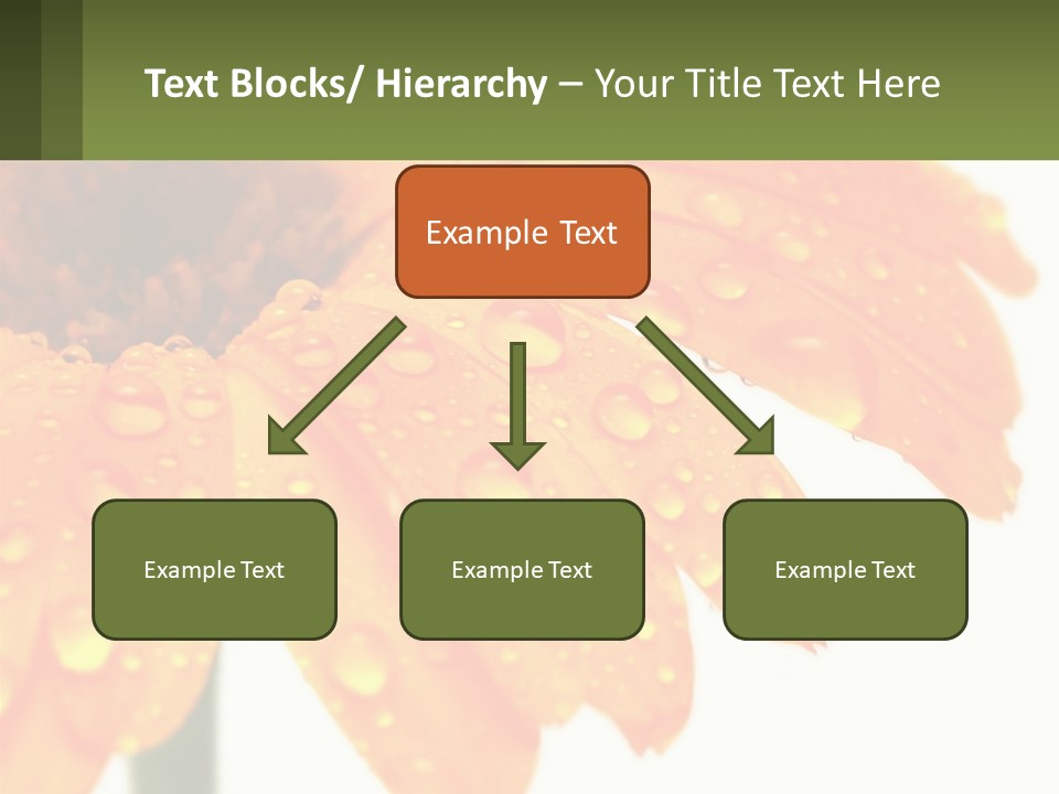 A Yellow Flower With Water Droplets On It PowerPoint Template