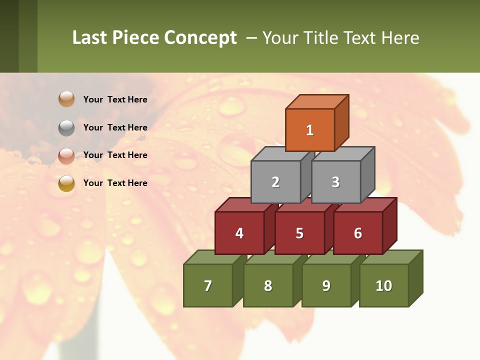 A Yellow Flower With Water Droplets On It PowerPoint Template