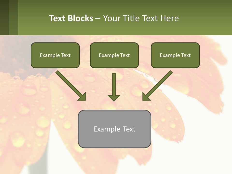 A Yellow Flower With Water Droplets On It PowerPoint Template