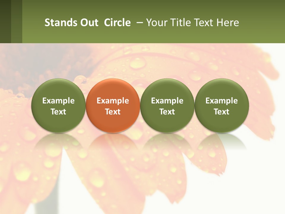 A Yellow Flower With Water Droplets On It PowerPoint Template