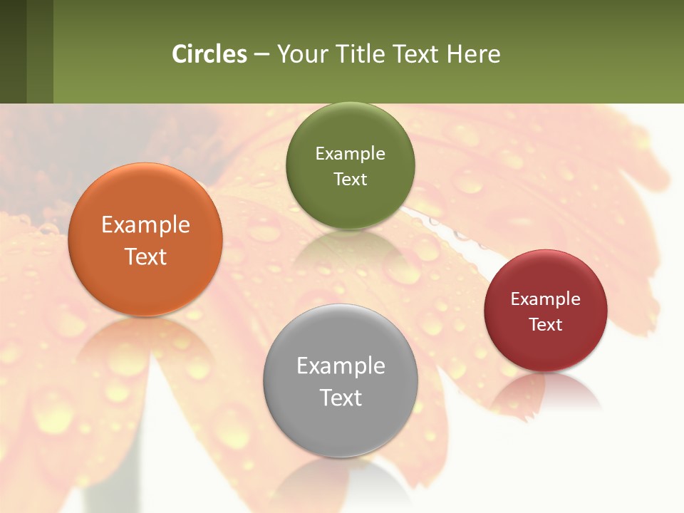 A Yellow Flower With Water Droplets On It PowerPoint Template