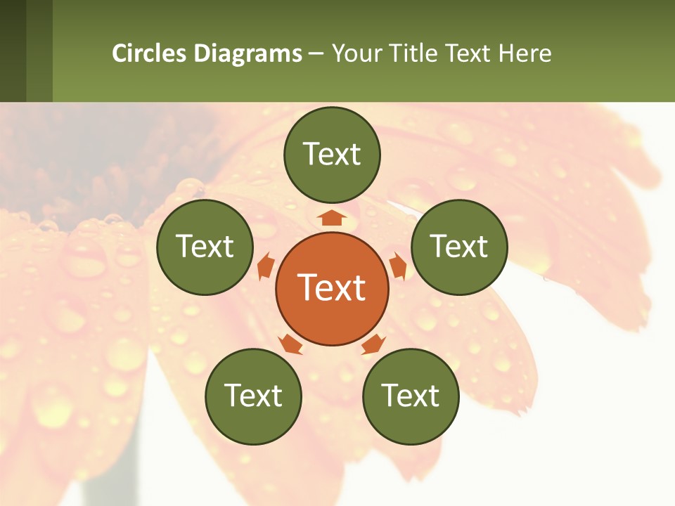 A Yellow Flower With Water Droplets On It PowerPoint Template