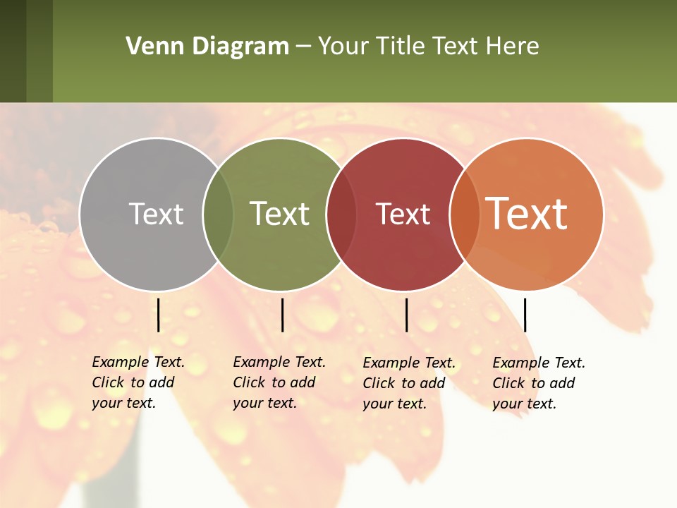 A Yellow Flower With Water Droplets On It PowerPoint Template