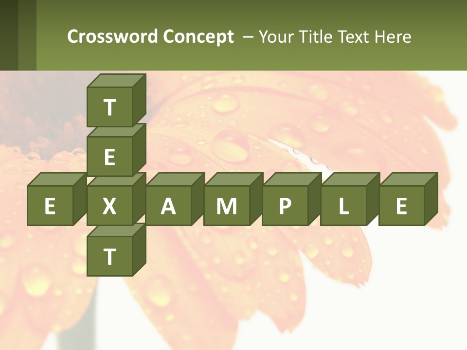 A Yellow Flower With Water Droplets On It PowerPoint Template