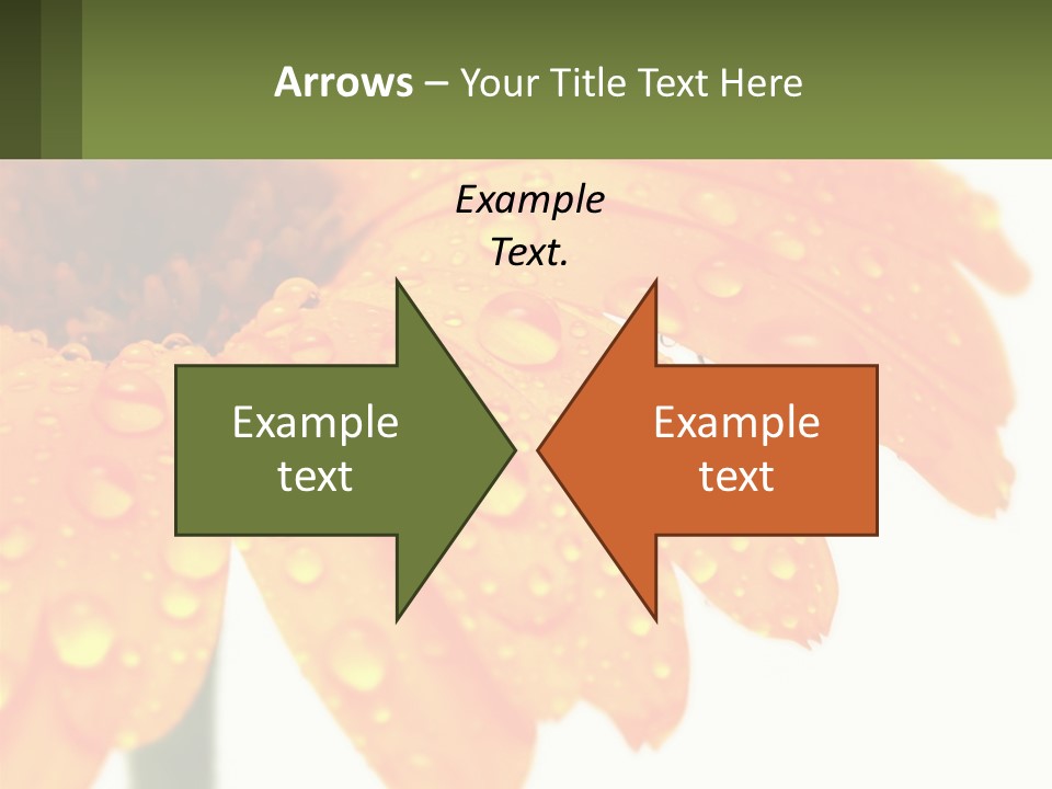 A Yellow Flower With Water Droplets On It PowerPoint Template