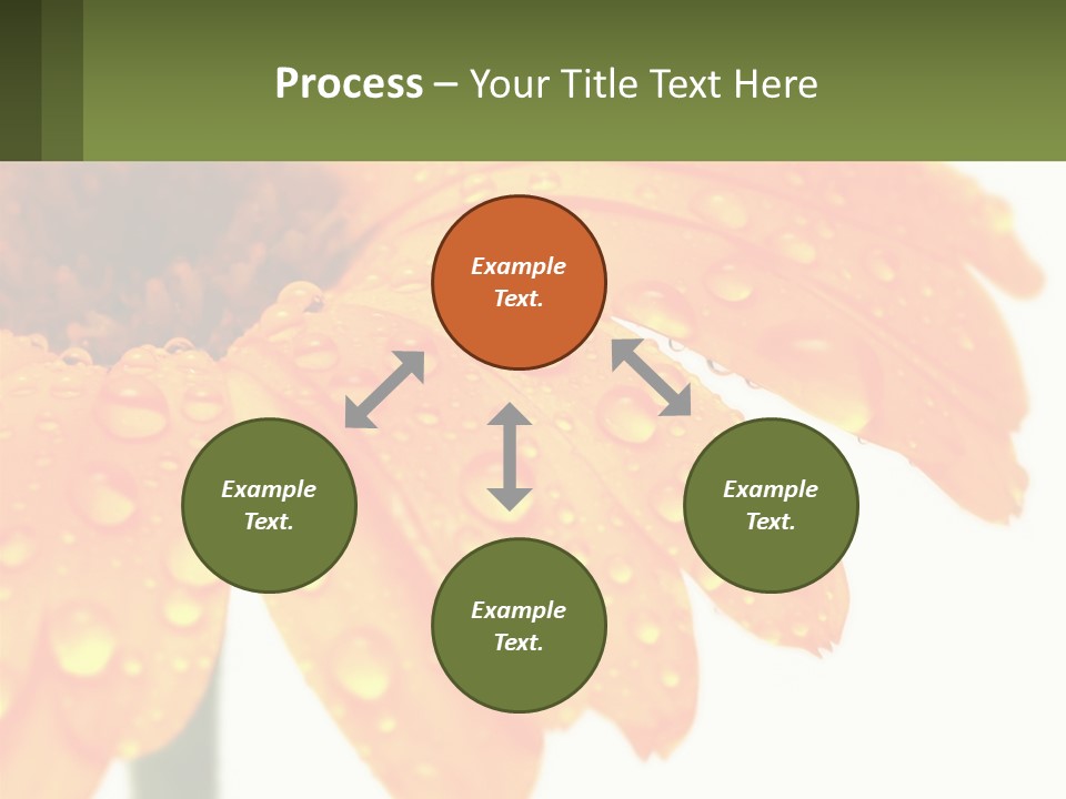 A Yellow Flower With Water Droplets On It PowerPoint Template