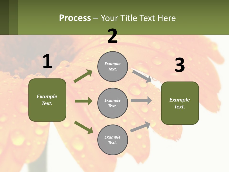 A Yellow Flower With Water Droplets On It PowerPoint Template