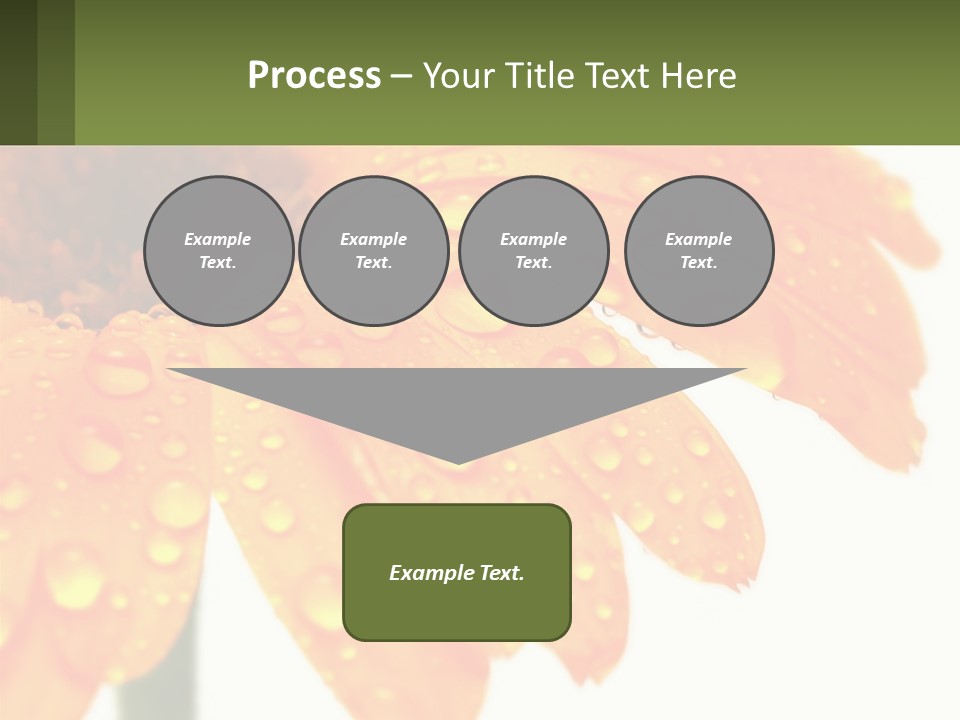 A Yellow Flower With Water Droplets On It PowerPoint Template