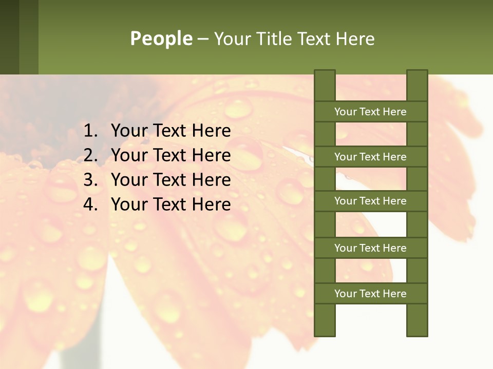 A Yellow Flower With Water Droplets On It PowerPoint Template