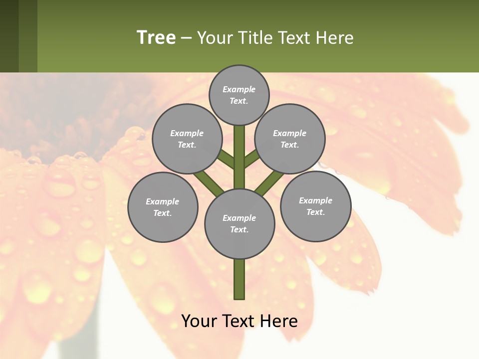 A Yellow Flower With Water Droplets On It PowerPoint Template