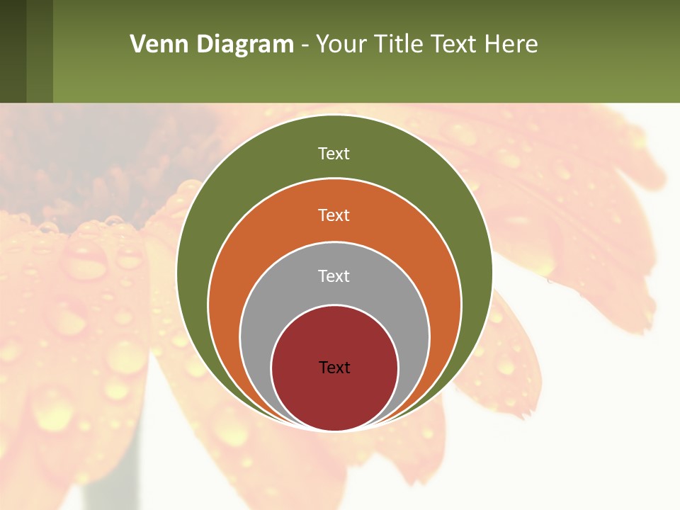 A Yellow Flower With Water Droplets On It PowerPoint Template