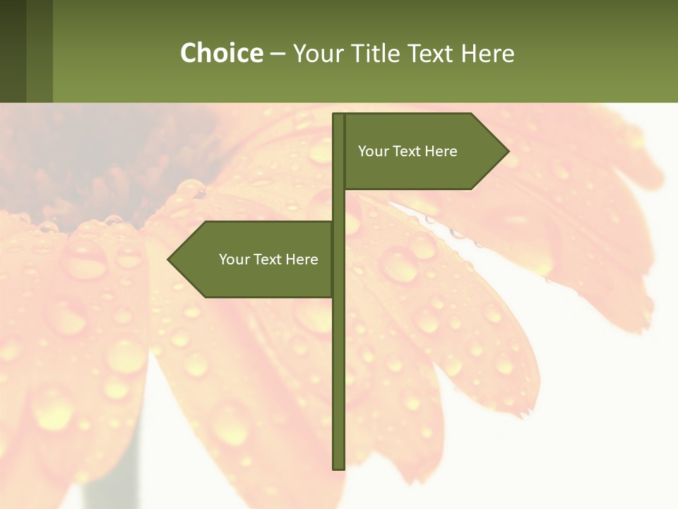 A Yellow Flower With Water Droplets On It PowerPoint Template