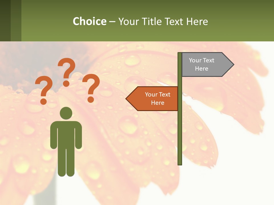 A Yellow Flower With Water Droplets On It PowerPoint Template