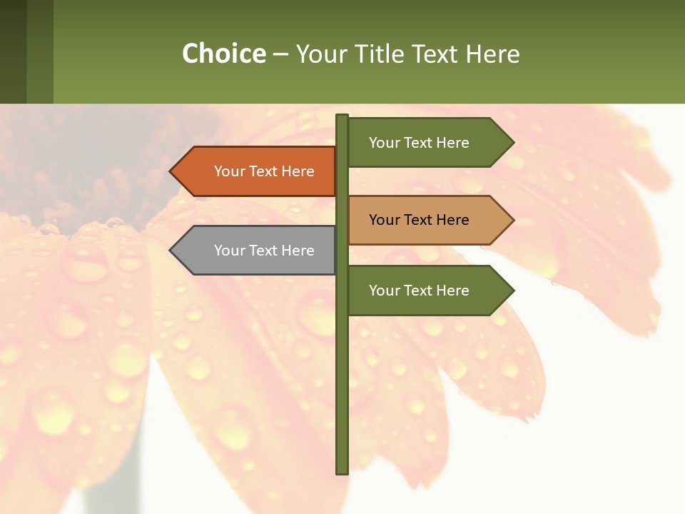 A Yellow Flower With Water Droplets On It PowerPoint Template