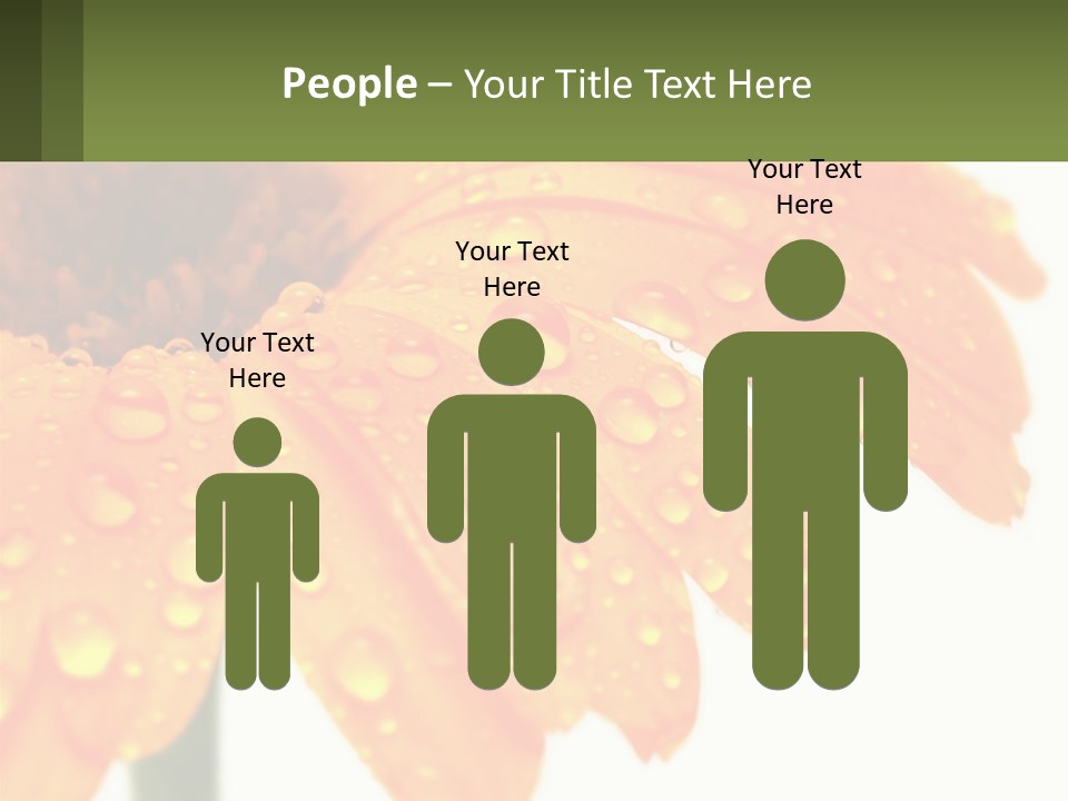 A Yellow Flower With Water Droplets On It PowerPoint Template