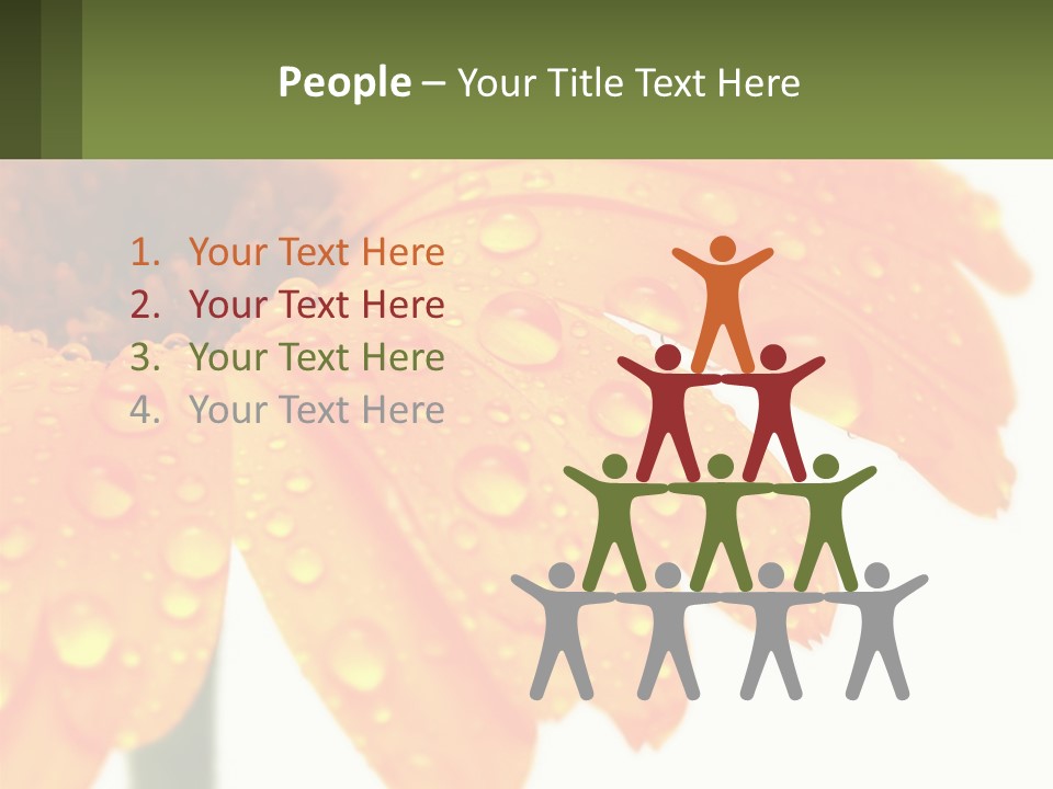 A Yellow Flower With Water Droplets On It PowerPoint Template