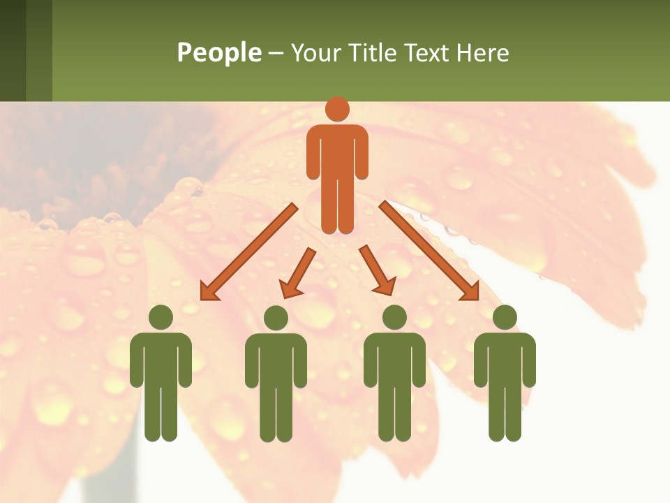 A Yellow Flower With Water Droplets On It PowerPoint Template