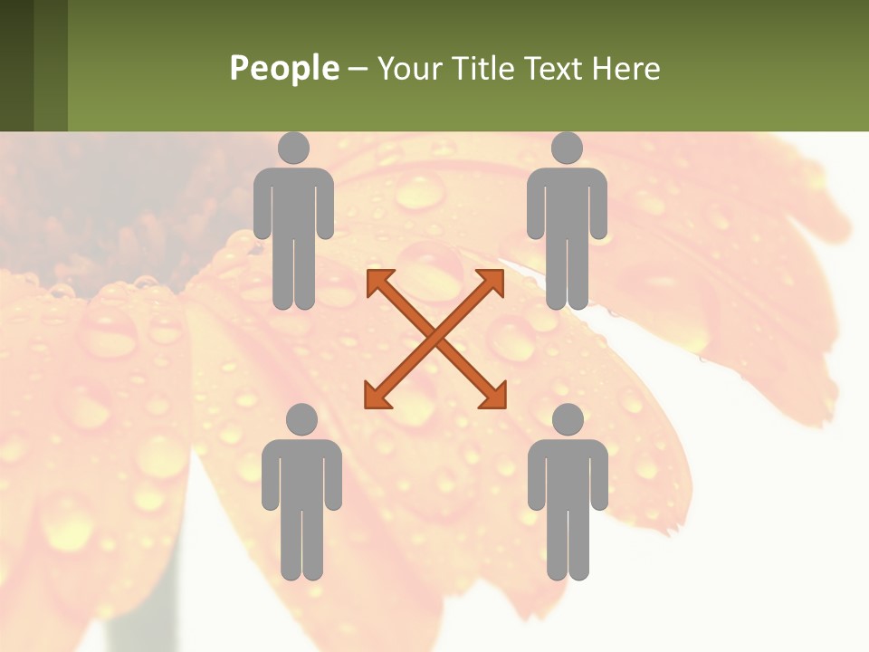 A Yellow Flower With Water Droplets On It PowerPoint Template