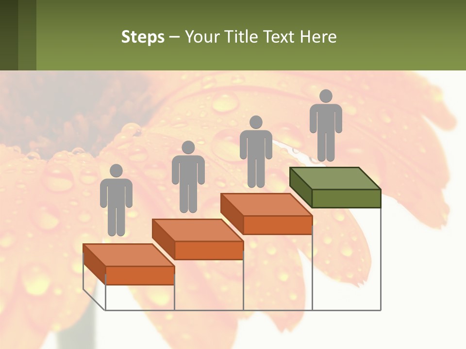 A Yellow Flower With Water Droplets On It PowerPoint Template