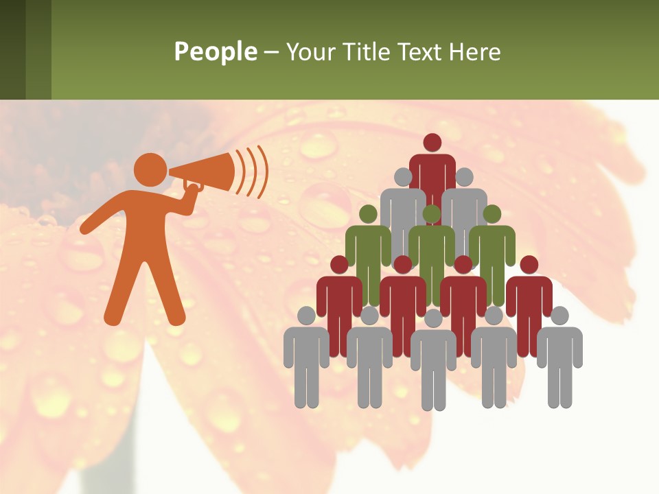 A Yellow Flower With Water Droplets On It PowerPoint Template