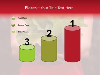 Food Holding Harvest PowerPoint Template