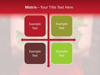 Food Holding Harvest PowerPoint Template