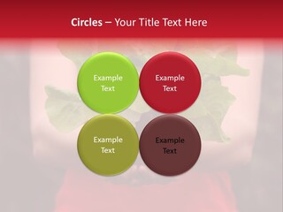 Food Holding Harvest PowerPoint Template