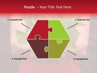 Food Holding Harvest PowerPoint Template