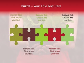 Food Holding Harvest PowerPoint Template