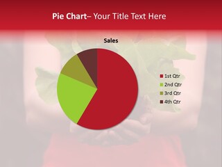 Food Holding Harvest PowerPoint Template