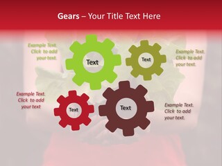 Food Holding Harvest PowerPoint Template