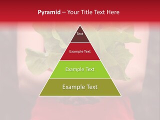 Food Holding Harvest PowerPoint Template