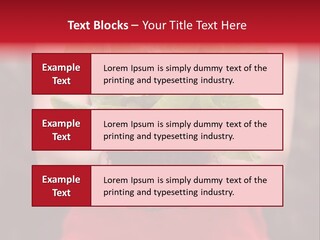 Food Holding Harvest PowerPoint Template