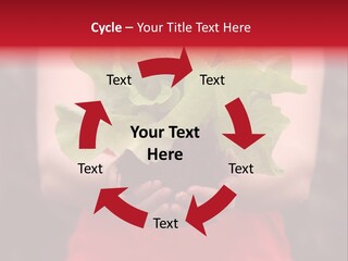 Food Holding Harvest PowerPoint Template