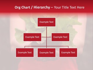 Food Holding Harvest PowerPoint Template