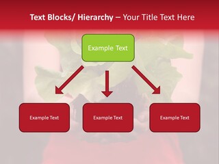 Food Holding Harvest PowerPoint Template
