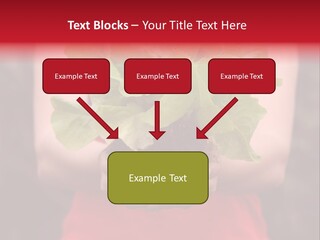 Food Holding Harvest PowerPoint Template