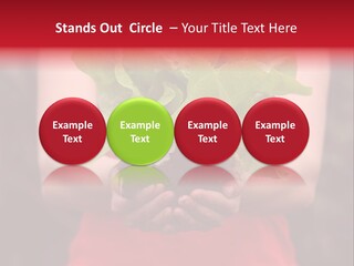 Food Holding Harvest PowerPoint Template