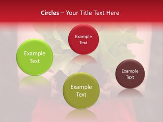 Food Holding Harvest PowerPoint Template